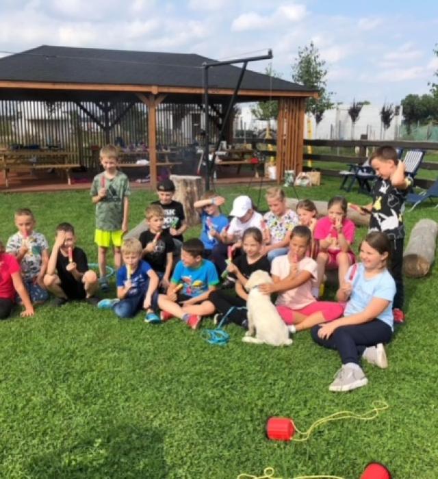 alpakomaniatarchalin.pl