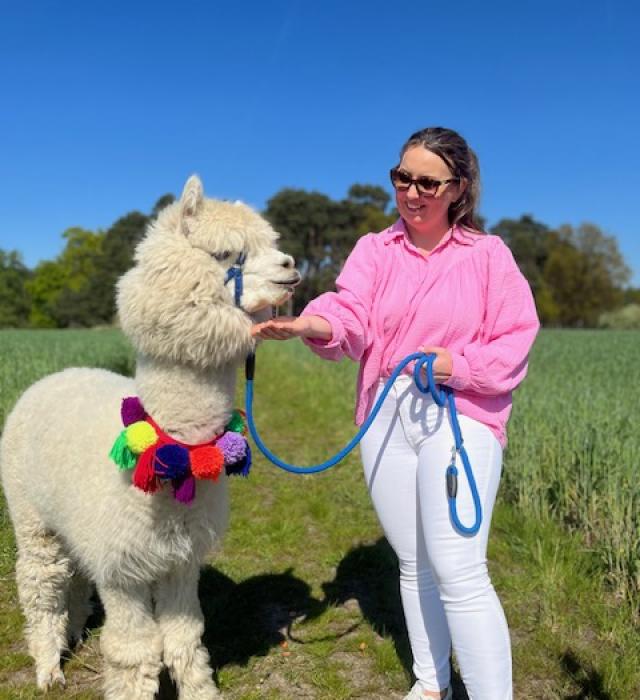 alpakomaniatarchalin.pl