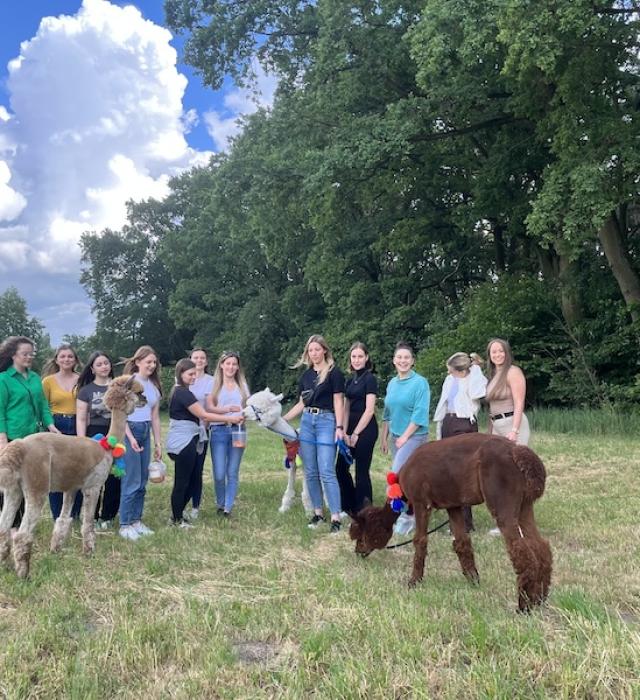 alpakomaniatarchalin.pl